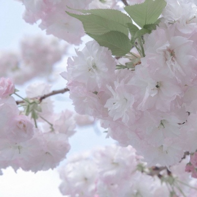 兽设黄昏场景设计Furry群